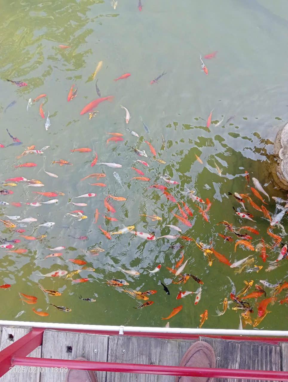 Homestay Suoi Khoang Minh Hang Yen Bai المظهر الخارجي الصورة